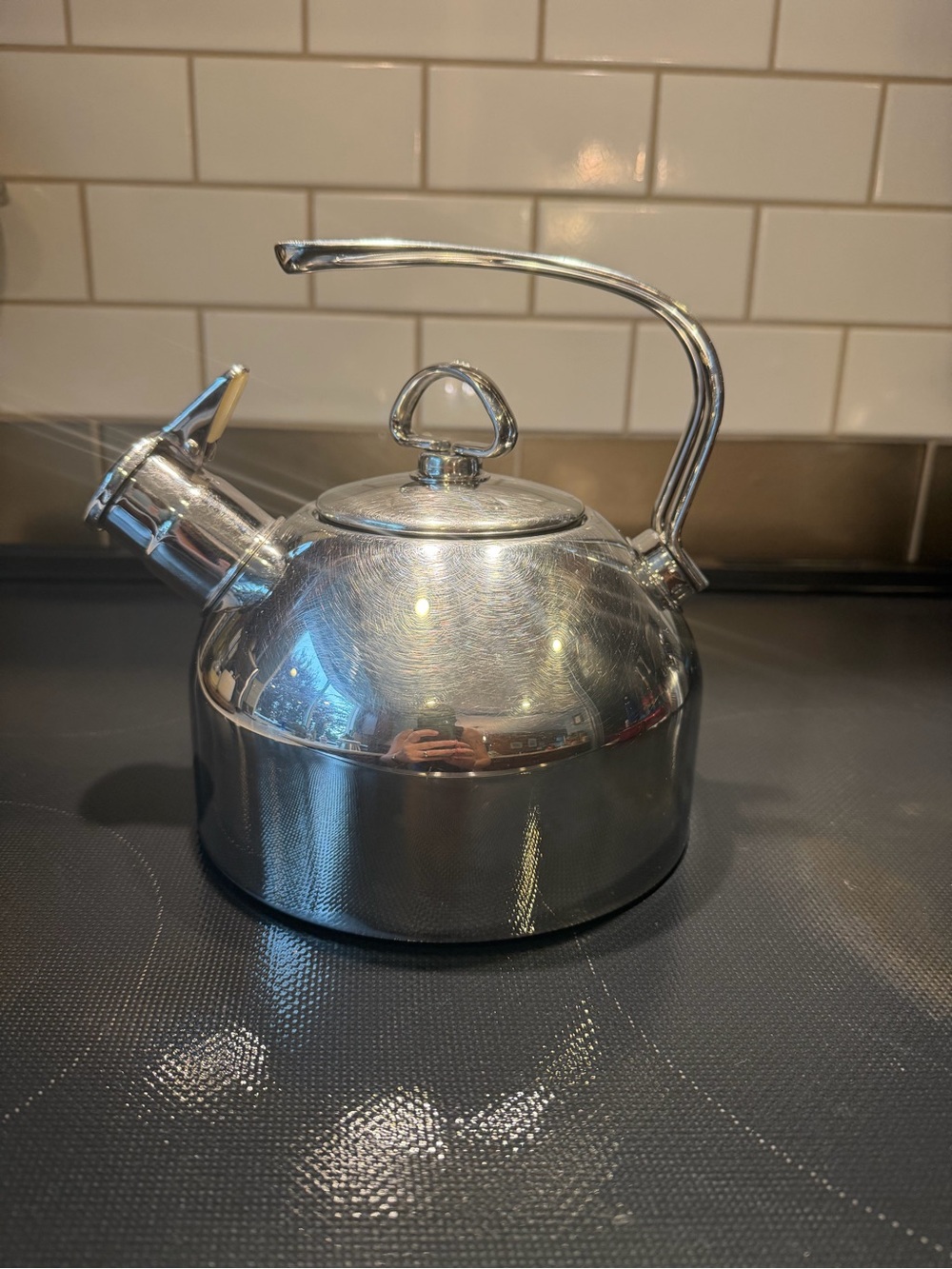 Stainless Steel Whistling Tea Kettle - Silver